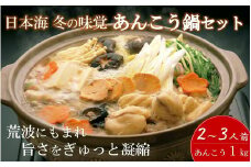 日本海から冬の味覚直送便「あんこう鍋」2～3人前 カット野菜付き 簡単 お手軽セット 鍋 なべ アンコウ 鮟鱇 あんこう