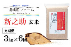 令和6年産新米予約【定期便】新之助【玄米】3kg×6回 計18㎏ 清耕園ファーム 農家直送 新潟の新しいブランド米（毎月お届け） 2024年産 新潟県糸魚川産 10月下旬出荷予定【米 しんのすけ こめ ご飯 ライス ふるさと納税米 6ヶ月 6か月 玄米でも美味しいお米】