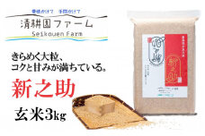 【令和6年産新米予約】新之助【玄米】3kg 新潟県 糸地川市産 清耕園ファーム 農家直送 新潟の新しいブランド米 10月下旬出荷予定【米 しんのすけ ご飯 ライス ふるさと納税米 3キロ 2024年産】