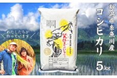 スピード発送【数量限定】令和6年産 新潟県産コシヒカリ『笑穂志(えぼし)のひかり』5kg 8月出荷 U'ファーム【米 お米 白米 こめ コメ こしひかり ご飯 ライス ふるさと納税米 新潟県 糸魚川産 2024年産 5キロ 食品 人気 おすすめ】