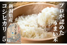 【令和6年産新米予約】新潟県産コシヒカリ『ひすいの雫』5kg 早川の清流が育んだ美味しいお米 特別栽培米 米・食味鑑定士お墨付き 白米 こしひかり 2024 磯貝農場 令和6年産 ご飯 お米 ご飯 コメ ライス 5キロ