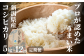 兄弟で丹精込めて作った　新潟県産コシヒカリ