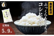 【2025年12月初回発送】令和7年産新米予約【定期便】新潟県産コシヒカリ『能生米』5kg×9回 計45kg 米・食味鑑定士お墨付き 農家直送 2025年産 あぐ里能生 能生米【こしひかり お米 こめ ご飯 ライス ふるさと納税米 ブランド米 5キロ 毎月配送 食品 人気 おすすめ 新潟県 糸魚川市 9か月 9ヶ月 先行予約】