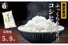 【2025年12月初回発送】令和7年産新米予約【定期便】新潟県産コシヒカリ『能生米』5kg×9回 計45kg 米・食味鑑定士お墨付き 農家直送 2025年産 あぐ里能生 能生米【こしひかり お米 こめ ご飯 ライス ふるさと納税米 ブランド米 5キロ 毎月配送 食品 人気 おすすめ 新潟県 糸魚川市 9か月 9ヶ月 先行予約】