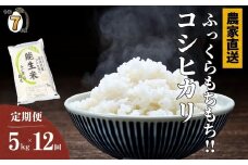 【2025年9月初回発送】令和7年産新米予約【定期便】新潟県産コシヒカリ『能生米』5kg×12回 計60kg 米・食味鑑定士お墨付き 農家直送 2025年産 あぐ里能生 能生米【こしひかり お米 こめ ご飯 ライス ふるさと納税米 ブランド米 5キロ 毎月配送 食品 人気 おすすめ 新潟県 糸魚川市 12か月 12ヶ月 先行予約】