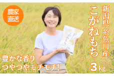 もち米『こがねもち』3kg(2升)【12月26日決済分まで年内発送】 令和6年産 新米 つやつやモチモチ もち米ならではの芳醇な香り 清耕園ファーム 【餅 赤飯 おこわ ご飯 ライス ふるさと納税 米 ブランド米 黄金餅 2024】