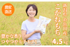 もち米『こがねもち』4.5kg(3升)【12月26日決済分まで年内発送】 令和6年産 新米 つやつやモチモチ もち米ならではの芳醇な香り 清耕園ファーム 【餅 赤飯 おこわ ご飯 ライス ふるさと納税 米 ブランド米 黄金餅 2024】