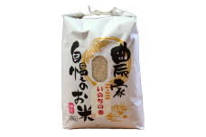 令和6年産 新潟県産『いのちの壱』5kg（白米）【2024年産 米 お米 白米 コメ ご飯 ライス ふるさと納税米 ブランド米 5キロ 棚田 糸魚川 新潟】