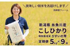 【令和6年産新米予約】 新潟県糸魚川産コシヒカリ 5kg×9ヶ月 計45kg 定期便『ひすいの雫』専門家お墨付き 特別栽培米 清耕園ファーム 農家直送 令和6年産 真空パック 鮮度長持ち 白米【9回 9か月 毎月 お届け お米 こめ ご飯 ライス ふるさと納税米 ブランド米 精米 こしひかり 2024 ギフト お弁当 おにぎり にも おすすめ！】