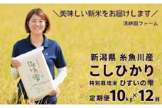 【令和6年産新米予約】新潟県糸魚川産コシヒカリ 10kg×12ヶ月『ひすいの雫』 計120㎏【定期便】特別栽培米 清耕園ファーム 真空パック 毎月お届け【米 お米 コメ ブランド米 ご飯 ライス ふるさと納税米 おにぎり 精米 食品 こしひかり 白米 12回 12か月 ギフト お弁当】