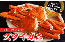 日本海直送『越後本ズワイガニ』800ｇ以上 2杯 計1.6kg 姿 茹でたてをお届けします【11月～２月限定】 ボイル