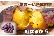 さつまいも 『紅はるか』 5kg ねっとり、蜜のように甘い熟成芋 サツマイモ 農家直送 数量限定 新潟県 糸魚川市