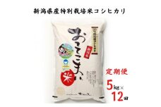 令和6年産新米予約【定期便】新潟県産 コシヒカリ ５kg×12か月 計60kg 特別栽培米『おててこ米』農家直送 毎月お届け 100%根知谷産 専門家お墨付き 糸魚川市 白米 減農薬 2024年産【米 お米 コメ ブランド米 ご飯 ライス ふるさと納税米 お弁当 おにぎり 精米 食品 こしひかり 12回 12か月 先行予約】