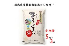 令和6年産新米予約【定期便】新潟県産 コシヒカリ 5kg×3ヶ月 計15kg 特別栽培米『おててこ米』農家直送 毎月お届け 100%根知谷産 専門家お墨付き 糸魚川市 白米 減農薬 2024年産【米 お米 コメ ブランド米 ご飯 ライス ふるさと納税米 お弁当 おにぎり 精米 食品 こしひかり 3回 3か月 先行予約】