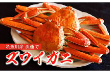 日本海直送『本ズワイガニ』500ｇ以上【冷凍】２杯　茹でたてを急速冷凍してお届けします【11月～４月限定】 ボイル