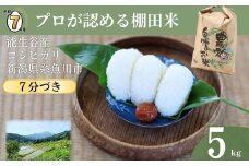 令和7年産新米予約 新潟県能生谷産コシヒカリ（7分づき）5kg プロも認める棚田米 農家直送 2025年産 JATs有限会社【新潟県 糸魚川市 米 お米 こめ コメ ご飯 ライス ふるさと納税米 ブランド米 おすすめ ギフト 5キロ 精米 白米 人気 食品 胚芽米 先行予約】