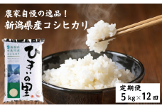 令和6年産新米予約【定期便】新潟県産コシヒカリ『ひすいの里』5kg×12ヶ月 計60kg 米・食味鑑定士お墨付き 精米したてを発送 農家自慢の特選米 糸魚川 白米 毎月配送 2024年産【米 お米 コメ ブランド米 ご飯 ライス ふるさと納税米 お弁当 おにぎり 5キロ 精米 食品 こしひかり こめ 食品 人気 おすすめ 新潟県 12回 12か月 先行予約】