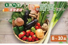 野菜の詰め合わせ『旬の野菜セット』（8～10品程度）直売所からお届け! 新鮮な野菜直送【大根･白菜･春菊･アスパラ菜･しいたけ･ほうれん草･ふきのとう･タラの芽･山菜･にんじん･イチゴ･トマト･きゅうり･ピーマン･ジャガイモ･玉ねぎ･オクラ･枝豆･トウモロコシ･なす･生きくらげ･長ネギ･サツマイモ･里芋】