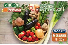 直売所からお届け! 旬の野菜セット【隔月6回お届け】（8～10品詰め合わせ）新鮮な野菜直送 定期便【大根･白菜･春菊･アスパラ菜･しいたけ･ほうれん草･ふきのとう･タラの芽･山菜･にんじん･イチゴ･トマト･きゅうり･ピーマン･ジャガイモ･玉ねぎ･オクラ･枝豆･トウモロコシ･なす･生きくらげ･長ネギ･サツマイモ･里芋】