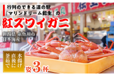 【浜茹で】紅ズワイガニ×3杯 日本海直送 紅ずわいがに 姿 新潟県糸魚川 マリンドリーム能生 かにや横丁からお届け！ ベニズワイガニ お届け日指定可能 ボイル 【かに カニ 新鮮 日付指定可能 冷凍 】