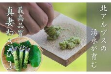 本ワサビ「真妻わさび」Mサイズ3本セット 約240ｇ　北アルプスの湧水が育てた山の宝石 新鮮 薬味 天然 新潟県 糸魚川市  生わさび 山葵 お刺身 お蕎麦の薬味に