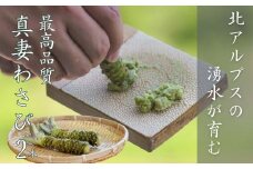 本ワサビ「真妻わさび」Sサイズ2本セット 約100g　北アルプスの湧水が育てた山の宝石 新鮮 薬味 天然 新潟県 糸魚川市  生わさび 山葵 お刺身 お蕎麦の薬味に