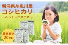 甘みあふれるコシヒカリ 20kg 新潟県糸魚川産 農家自慢の逸品"NUKUMORI" 特別栽培米 減農薬 農家直送 令和5年産【こしひかり お米 こめ ご飯 ライス ふるさと納税米 ブランド米 食品 人気 おすすめ 新潟県】