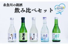 【父の日ギフト】糸魚川の地酒　飲み比べセット（300ml×5本）根知男山・謙信・月不見の池・雪鶴・加賀の井　地酒で乾杯セット