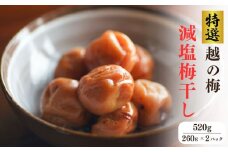 【無添加】梅干し(減塩8％) 560g 酸っぱくて美味しい  高級 新潟越の梅 大粒白梅 梅干 梅干し 人気 ご家庭用 天然 令和6年産 梅ちゃんファーム