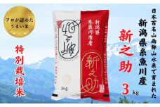 令和6年産新米予約『新之助』3kg 新潟県糸魚川産 特別栽培米 農家直送 100％根知谷産 米･食味鑑定士お墨付き【米 お米 コメ こめ ご飯 ライス ふるさと納税米 ブランド米 食品 人気 おすすめ ギフト 糸魚川市 白米 減農薬 2024年産 シンノスケ しんのすけ 3キロ 先行予約 精米】