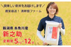 「10月下旬より順次発送」令和7年産 新米予約 【定期便】 『新之助』 5kg×12ヶ月 計60㎏ 新潟県糸魚川産 農家直送 真空パック 清耕園ファーム しんのすけ 毎月お届け 10月下旬出荷予定【お米 こめ ご飯 ライス ふるさと納税米 ブランド米 5キロ 12回 12か月 2025】