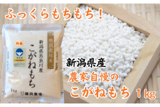 新米 新潟県産 もち米『こがねもち』1kg 令和6年産 ふっくらモチモチ！ 芳醇な甘い香り 磯貝農場【ふるさと納税 米 ブランド米 餅 赤飯 おこわ 糸魚川 もち米 黄金餅 2024】