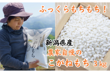 新米 新潟県産 もち米『こがねもち』3kg 令和6年産 ふっくらモチモチ！ 芳醇な甘い香り 磯貝農場【ふるさと納税 米 ブランド米 餅 赤飯 おこわ 糸魚川 2024 黄金餅 もち米】
