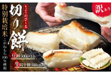 訳あり 餅「切もち」2種セット 2㎏ 新潟県産こがねもち 生切り餅、豆餅 農家自慢の美味しいお餅！ 特別栽培米 磯貝農場 糸魚川【お鍋 お雑煮 焼餅 もち米 きな粉餅 お正月 もち 餅 モチ 切り餅 かまぼこ型 令和6年産 】