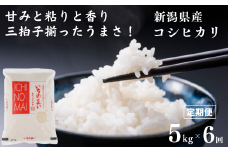 新米【定期便】新潟県産コシヒカリ「いちのまい」5㎏×6ヶ月 計30㎏ 米・食味鑑定士お墨付き 毎月精米したてを発送 こしひかり 糸魚川 白米 令和6年産【米 お米 コメ ブランド米 ご飯 ライス ふるさと納税米 お弁当 おにぎり 5キロ 精米 食品 6回 6か月 米 コシヒカリ 2024】