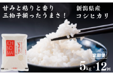 新米【定期便】新潟県産コシヒカリ「いちのまい」5㎏×12ヶ月 計60㎏ 米・食味鑑定士お墨付き 毎月精米したてを発送 こしひかり 糸魚川 白米 令和6年産【米 お米 コメ ブランド米 ご飯 ライス ふるさと納税米 お弁当 おにぎり 5キロ 精米 食品 12回 12か月 米 コシヒカリ 2024】
