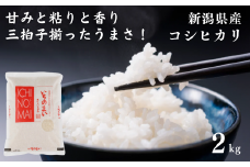 令和6年産 新米 新潟県産コシヒカリ「いちのまい」2㎏ 米・食味鑑定士お墨付き 精米したてを毎月発送 こしひかり 糸魚川 白米 2024年産【米 お米 コメ ブランド米 ご飯 ライス ふるさと納税米 お弁当 おにぎり 2キロ 精米 食品】