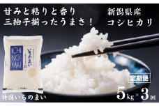 新米【定期便】 新潟県産コシヒカリ「特選いちのまい」5㎏×3ヶ月 計15kg 米・食味鑑定士お墨付き 毎月精米したてを発送 こしひかり 糸魚川 白米 令和6年産【米 お米 コメ ブランド米 ご飯 ライス ふるさと納税米 お弁当 おにぎり 5キロ 精米 食品 3回 3か月 米 コシヒカリ 2024】