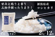 新米【定期便】 新潟県産コシヒカリ「特選いちのまい」2㎏×12ヶ月 計24kg 米・食味鑑定士お墨付き 毎月精米したてを発送 こしひかり 糸魚川 白米 令和5年産【米 お米 コメ ブランド米 ご飯 ライス ふるさと納税米 お弁当 おにぎり 2キロ 精米 食品 12回 12か月 米 コシヒカリ 2024】