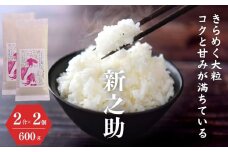 令和6年産新米予約 お試し『新之助』2合(300g)×2袋  米・食味鑑定士お墨付き 新潟県糸魚川産 600g 2024年産【お米 こめ おすすめ 人気 しんのすけ ご飯 ライス ふるさと納税米 ブランド米 お弁当 おにぎり 精米 食品 先行予約】