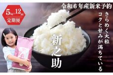 令和6年産新米予約【定期便】新之助 5kg×12ヶ月 計60kg 米・食味鑑定士お墨付き 家族みんなで愛情かけて育てた米 新潟県糸魚川産 2024年 しんのすけ 白米 百姓や伝六【米 お米 こめ ご飯 ライス ふるさと納税米 食品 人気 おすすめ お弁当 おにぎり ギフト 新潟県の新しいブランド米 農家直送 5キロ 先行予約 精米 12回 12か月】