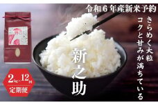 令和6年産新米予約【定期便】新之助 2kg×12ヶ月 計24kg 米・食味鑑定士お墨付き 家族みんなで愛情かけて育てた米 新潟県糸魚川産 2024年 しんのすけ 白米 百姓や伝六【米 お米 こめ ご飯 ライス ふるさと納税米 食品 人気 おすすめ お弁当 おにぎり ギフト 新潟県の新しいブランド米 農家直送 2キロ 先行予約 精米 12回 12か月】