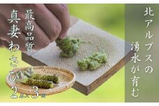 【3回定期便】生わさび 真妻 Mサイズ2本セット 約160g×3回 計480g 北アルプスの湧水が育てた山の宝石 新鮮 天然 新潟県 糸魚川市 お刺身 お蕎麦の薬味にどうぞ 本わさび 根わさび 山葵 産地直送
