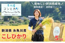 令和6年産新米予約 新潟県産コシヒカリ 5kg 清耕園ファーム 農家直送 令和6年産 白米 10月上旬出荷予定【米 お米 こしひかり 糸魚川 こめ コメ ブランド米 ご飯 ライス ふるさと納税米 お弁当 おにぎり 5キロ 精米 食品 2024年】