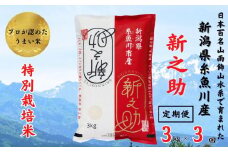 令和6年産新米予約【定期便】新之助 3kg×3ヶ月 計9kg 新潟県糸魚川産 特別栽培米 農家直送 100％根知谷産 米･食味鑑定士お墨付き【米 お米 コメ こめ ご飯 ライス ふるさと納税米 ブランド米 食品 人気 おすすめ ギフト 糸魚川市 白米 減農薬 2024年産 シンノスケ しんのすけ 3キロ 先行予約 精米 毎月お届け 3回 3か月】