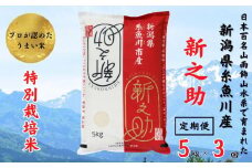 令和6年産新米予約【定期便】新之助 5kg×3ヶ月 計15kg 新潟県糸魚川産 特別栽培米 農家直送 100％根知谷産 米･食味鑑定士お墨付き【米 お米 コメ こめ ご飯 ライス ふるさと納税米 ブランド米 食品 人気 おすすめ ギフト 糸魚川市 白米 減農薬 2024年産 シンノスケ しんのすけ 5キロ 先行予約 精米 毎月お届け 3回 3か月】