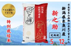 令和6年産新米予約【定期便】新之助 5kg×12ヶ月 計60kg 新潟県糸魚川産 特別栽培米 農家直送 100％根知谷産 米･食味鑑定士お墨付き【米 お米 コメ こめ ご飯 ライス ふるさと納税米 ブランド米 食品 人気 おすすめ ギフト 糸魚川市 白米 減農薬 2024年産 シンノスケ しんのすけ 5キロ 先行予約 精米 毎月お届け 12回 12か月】