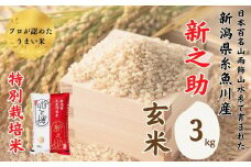 令和6年産新米予約『新之助』玄米 3kg 新潟県糸魚川産 特別栽培米 農家直送 100％根知谷産 米･食味鑑定士お墨付き【米 お米 コメ こめ ご飯 ライス ふるさと納税米 ブランド米 食品 人気 おすすめ ギフト 糸魚川市 減農薬 2024年産 シンノスケ しんのすけ 3キロ 先行予約】