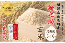 令和6年産新米予約【定期便】新之助 玄米 5kg×6ヶ月 計30kg 新潟県糸魚川産 特別栽培米 農家直送 100％根知谷産 米･食味鑑定士お墨付き【米 お米 コメ こめ ご飯 ライス ふるさと納税米 ブランド米 食品 人気 おすすめ ギフト 糸魚川市 減農薬 2024年産 シンノスケ しんのすけ 5キロ 先行予約 毎月お届け 6回 6か月】