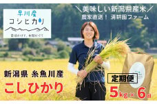 令和6年産新米予約【定期便】新潟県産コシヒカリ 5kg×6回 全30㎏ 清耕園ファーム 農家直送 令和6年産 白米 10月上旬出荷予定【米 お米 こしひかり 糸魚川 こめ コメ ブランド米 こしひかり おすすめ ご飯 ライス ふるさと納税米 お弁当 おにぎり 5キロ 精米 食品 6ヶ月 6か月 毎月お届け 2024年 米 お米 定期便 】
